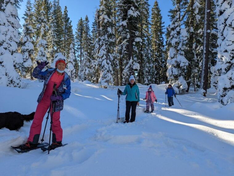 tahoe-city-beginner-and-family-friendly-snowshoe-tour