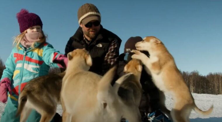 talkeetna-alaskan-winter-dog-sledding-experience