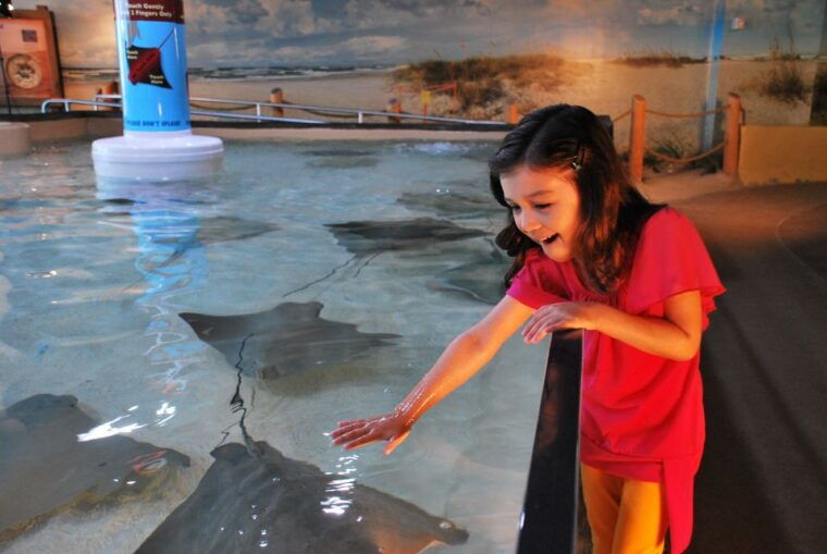 tampa-bay-citypass-save-up-to-55-at-5-top-attractions
