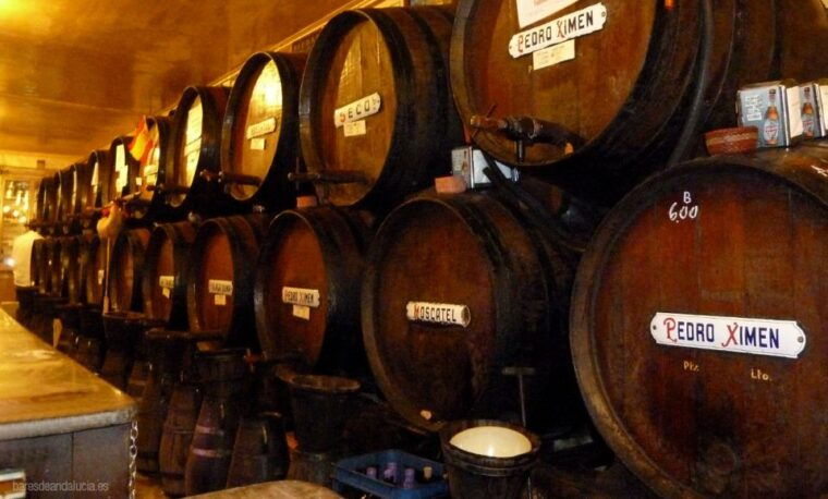 tapas-tour-paella-and-malaga-market-with-official-guide