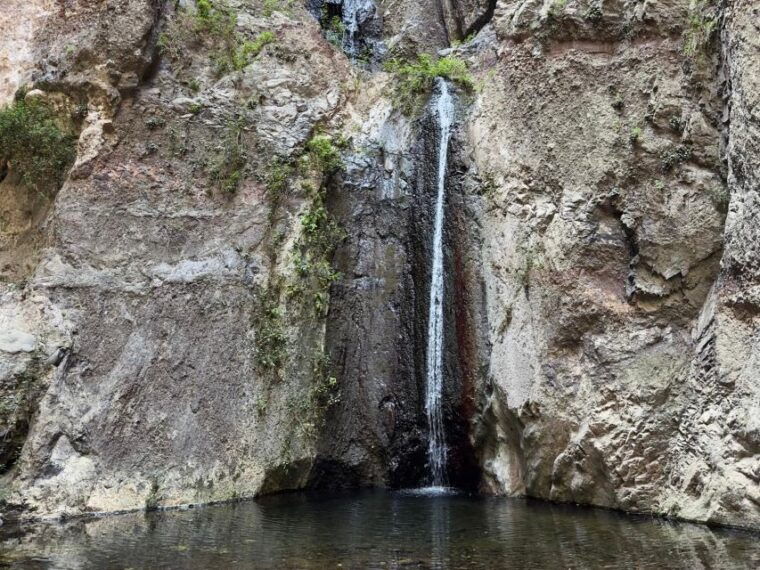 tenerife-barranco-del-infierno-guided-hiking-tour