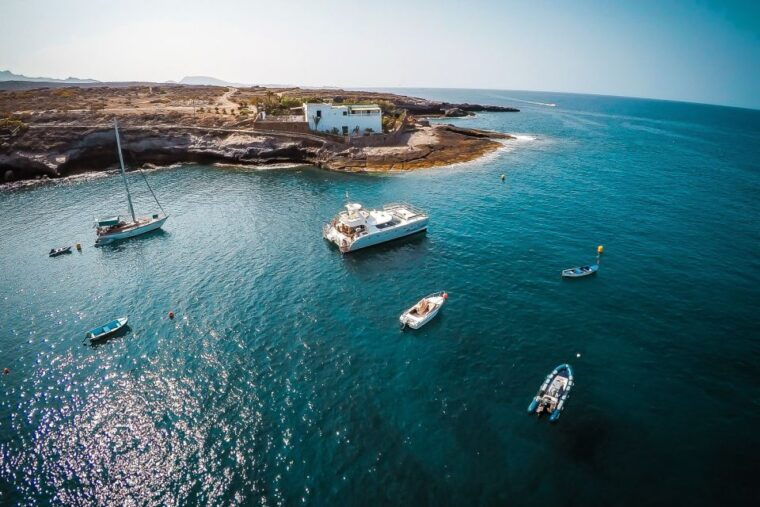 tenerife-marine-life-tour-with-transfer-buffet-and-drinks