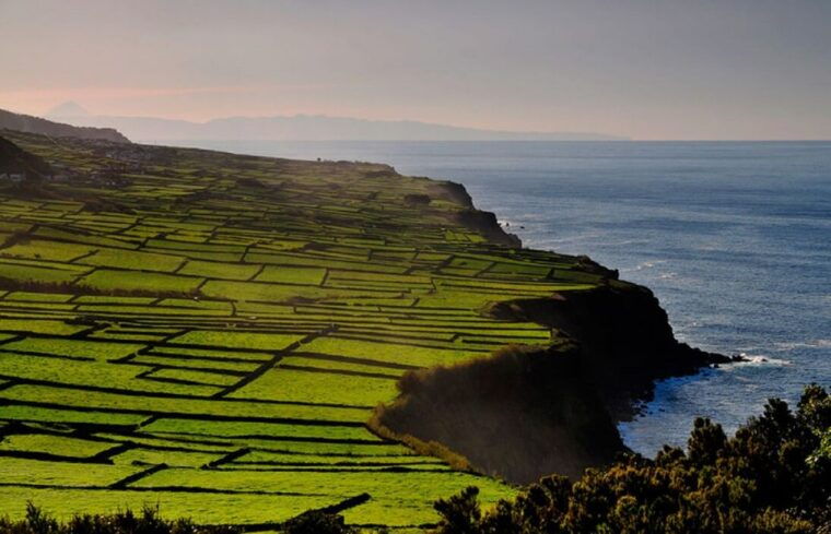 terceira-island-whale-watching-and-jeep-tour