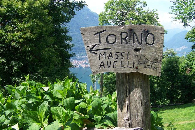 the-avellis-mystery-the-pendula-stone-and-the-boulders