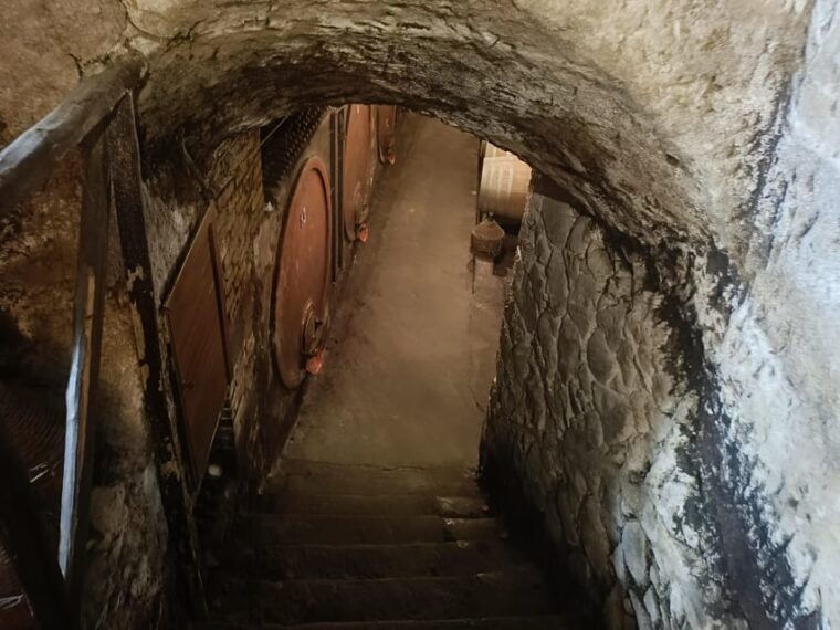 the-dying-city-civita-bagnoregio-w-wine-tasting-from-port