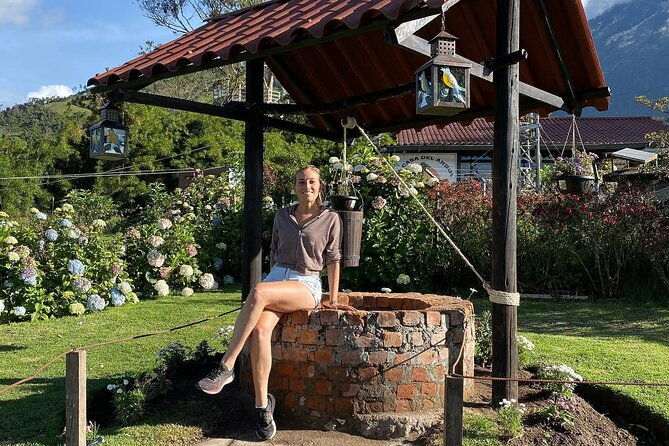 the-tree-house-tours-swing-at-the-end-of-the-world-viewpoint