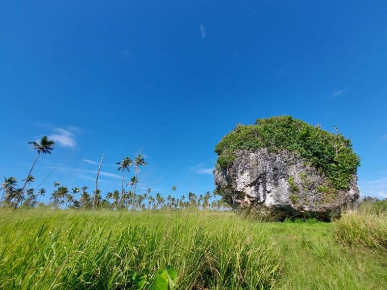tongatapu-island-tour-takeaway-tonga-and-you