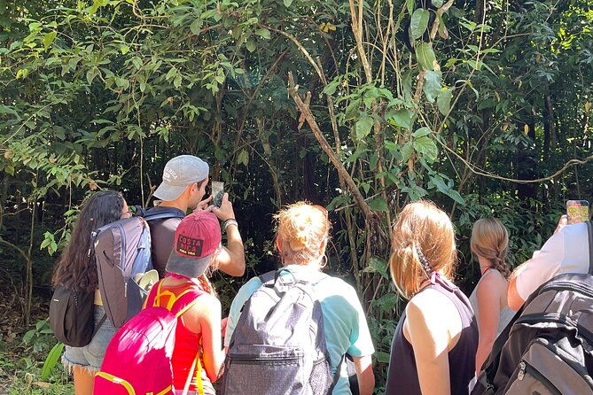 tortuguero-canal-tour-by-canoe