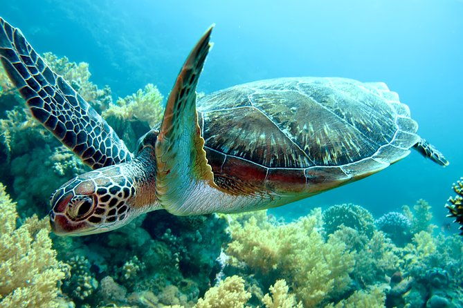 tortuguero-park-3-days-vacation-package
