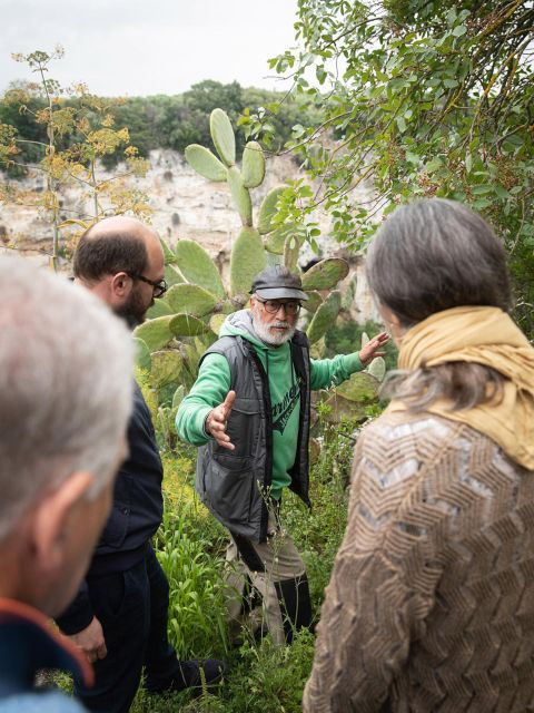 tour-among-the-temples-of-oil-and-the-patriarch-olive-trees