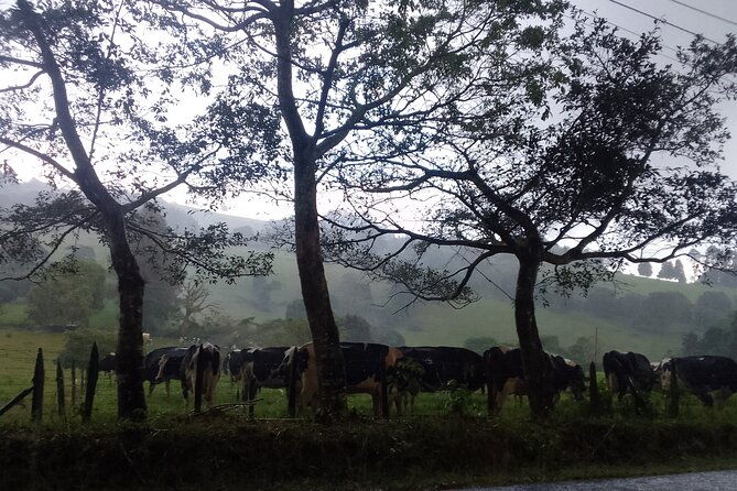 travel-through-the-mountains-of-heredia-and-alajuela