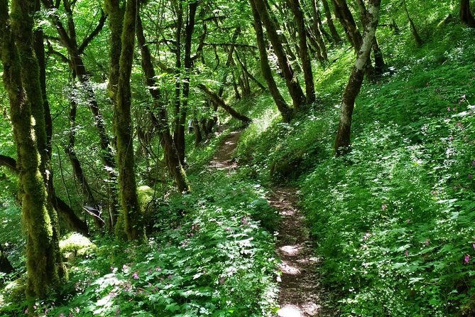 trekking-in-vikos-gorge-3-days