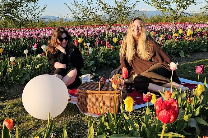 tulip-valley-farms-u-pick-experience