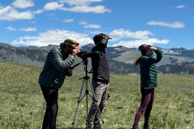 two-day-yellowstone-tour-upper-lower-loop-bozeman-private