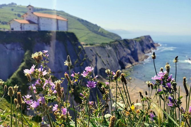 txakoli-vineyards-hike-zumaia-and-getaria-private-outdoor-gastronomic-tour