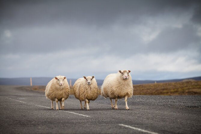 unforgettable-5-day-iceland-stopover-tour