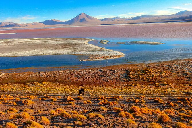 uyuni-salt-flat-death-road-5-day-tour-from-la-paz-city