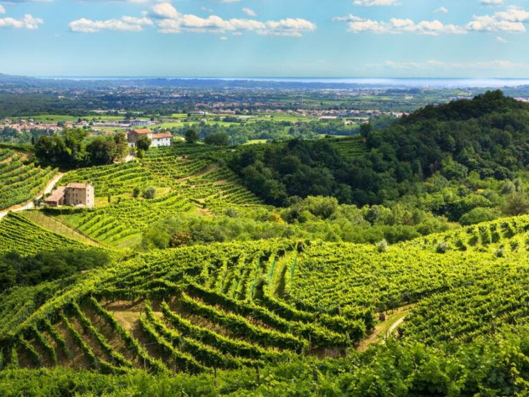 valdobbiadene-prosecco-hills-cycling-with-sommelier