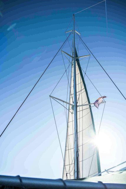 valencia-catamaran-cruise-with-swimming-optional-dj