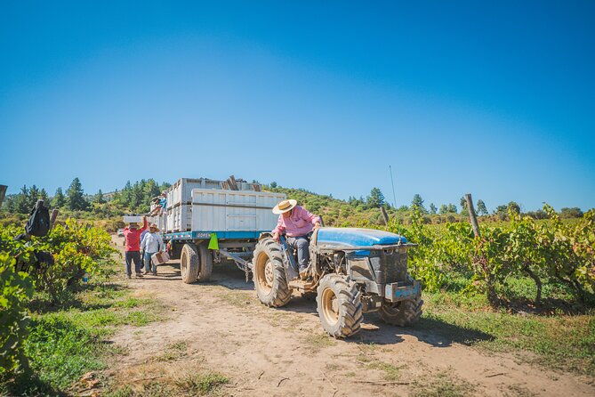 valparaiso-wine-tour-to-casablanca