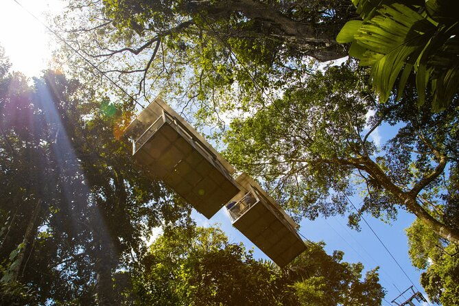 veragua-rainforest-experience-and-tram-ride-in-puerto-limon