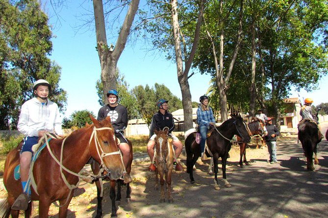 vina-del-mar-and-valparaiso-private-tour-including-horseriding