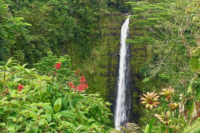 volcanoesstargazing-exclusive-private-van-charter