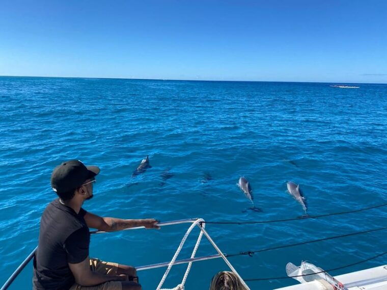 waikiki-sea-turtle-snorkeling-small-group-boat-tour