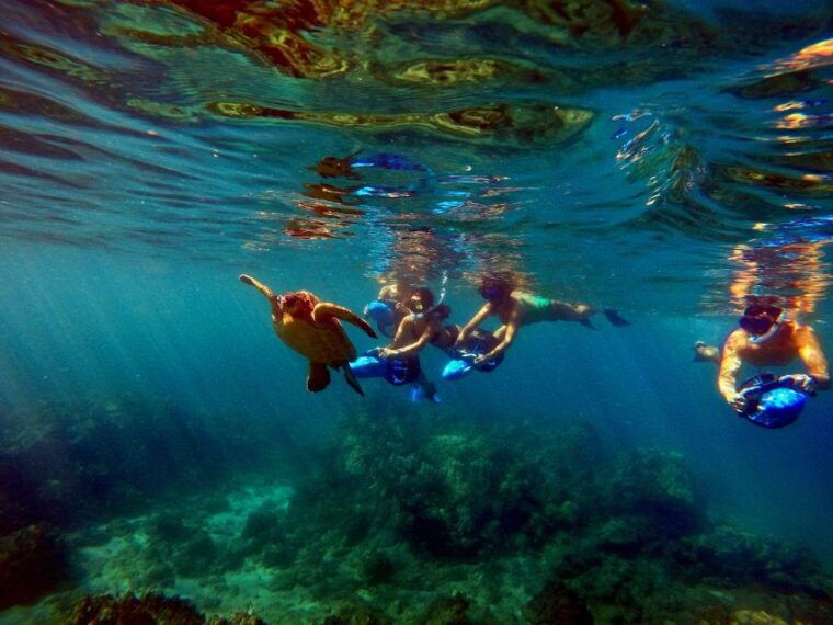 wailea-beach-guided-sea-scooter-snorkeling-tour