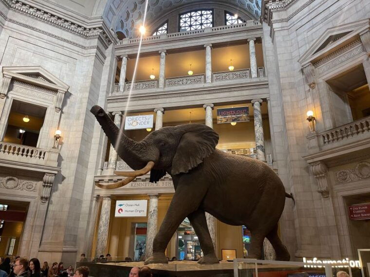 washington-dc-smithsonian-highlights