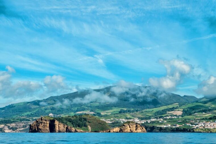 whale-and-dolphin-watching-with-vila-franca-islet-visit