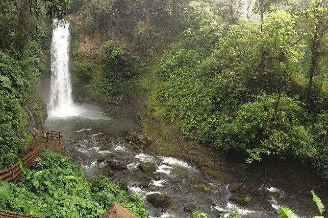 wild-costa-rica-best-destinations-in-costa-rica-for-8-days