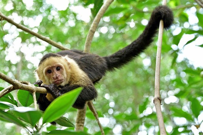 wildlife-rescue-center-private-tour