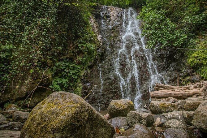 wine-and-dine-tour-to-batumi-waterfalls-mountainous-adjara