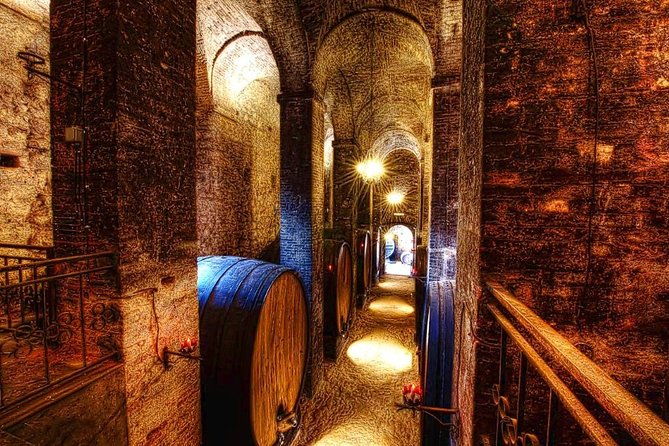 wine-cheese-and-evo-oil-tastings-in-tuscany-full-day-from-rome