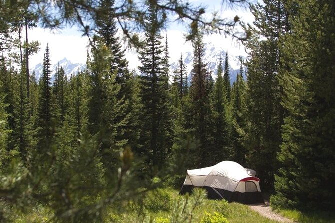 yellowstone-grand-teton-national-parks-small-group-6-day-tour