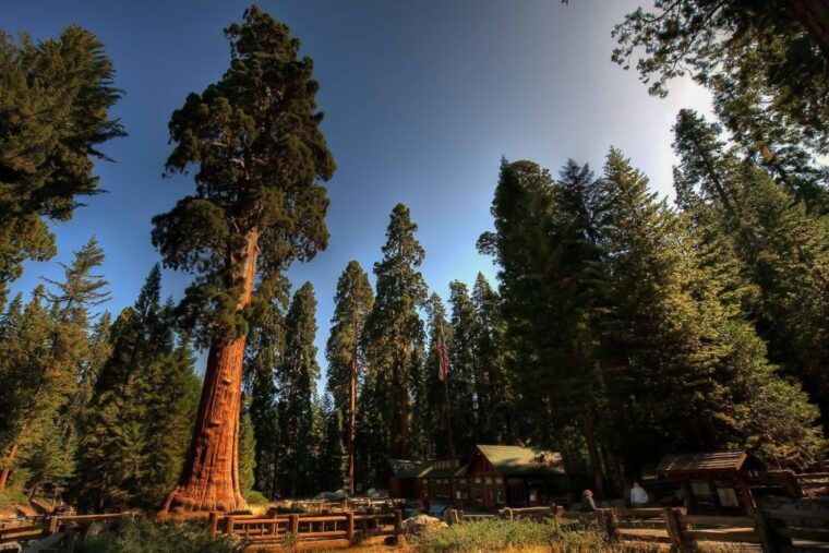 yosemite-private-full-day-trip-from-san-francisco