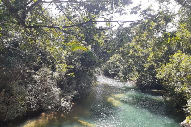 zipline-and-altun-ha-from-belize-city
