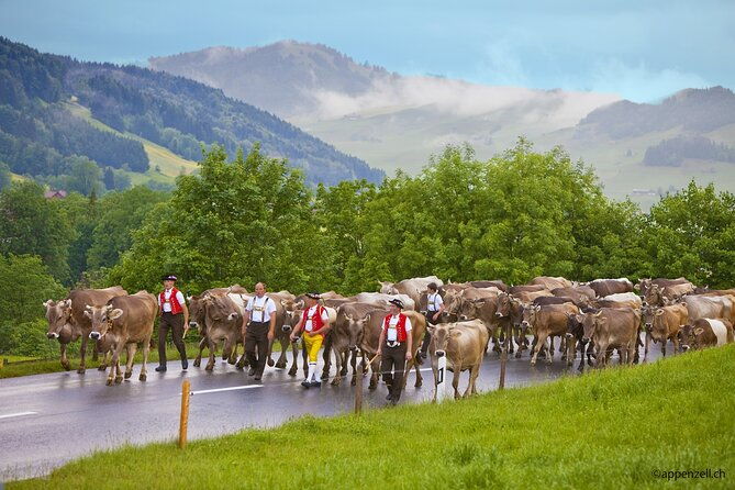 zurich-open-top-bus-chocolate-and-cheese-factory-tour-appenzell