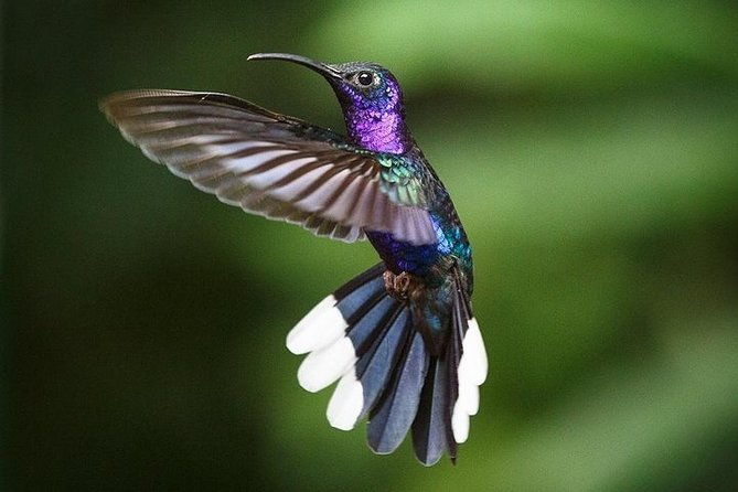 8-days-north-costa-rica-fun-family-and-friends-trip