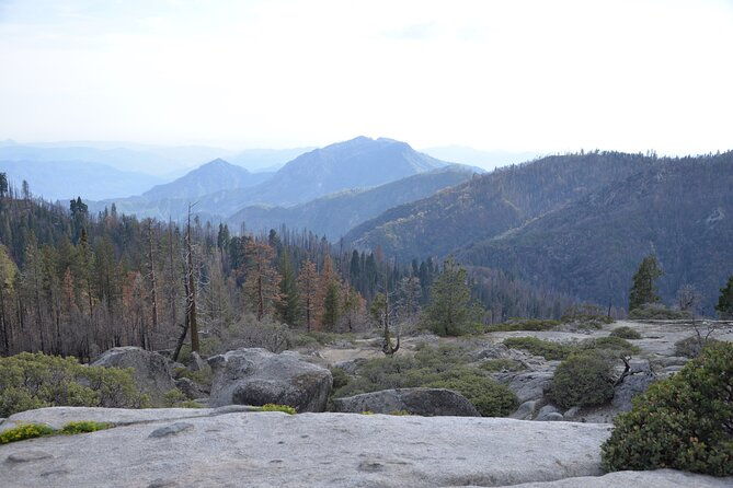 2-days-private-tour-to-sequoia-and-kings-canyon-parks-from-la