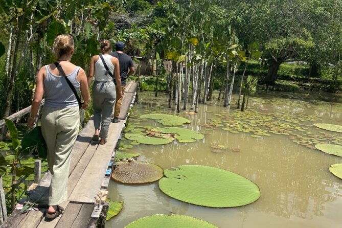 3-day-all-inclusive-guided-jungle-tour-from-iquitos