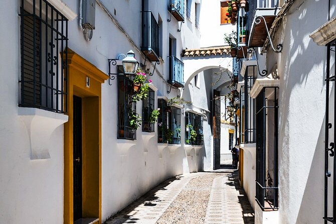 3-hour-private-tour-of-cordoba-tickets-included-week-days