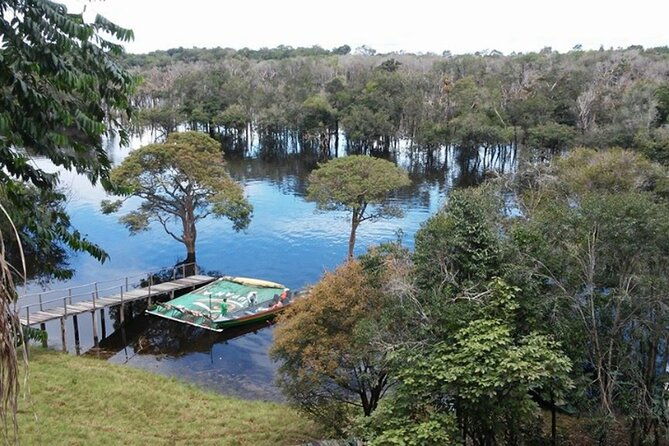 4-days-unique-experience-at-amazon-lodge-immersion-on-a-jungle-adventure