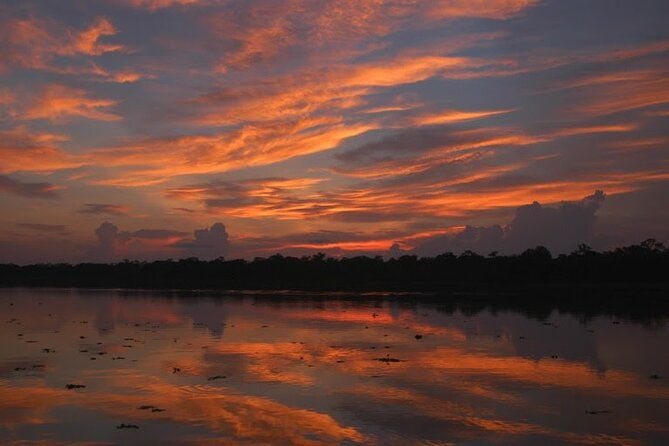 6-day-all-inclusive-guided-jungle-tour-from-iquitos-at-maniti-eco-lodge