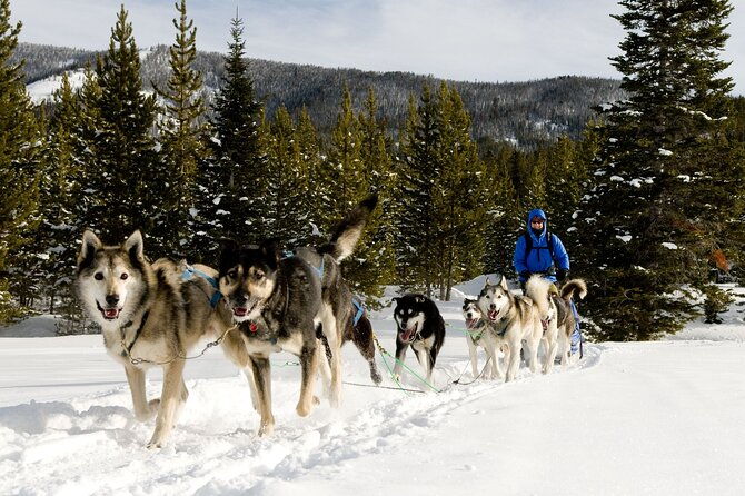 6-day-winter-wonderland-tour-in-yellowstone-national-park