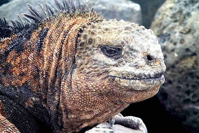 9-days-galapagos-island-hopping
