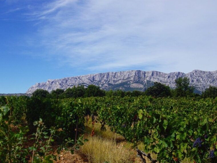 aix-hills-sainte-victoire-wine-tour-cezanne-mill-visit