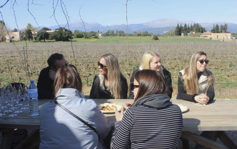 alcudia-can-picafort-guided-vineyard-visit-and-wine-tasting