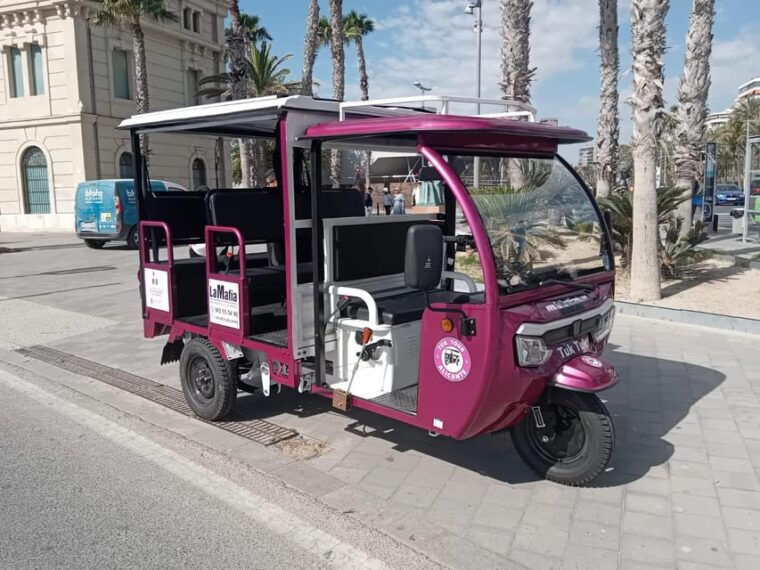 alicante-tuk-tuk-tour-electric-60-minutes-electric